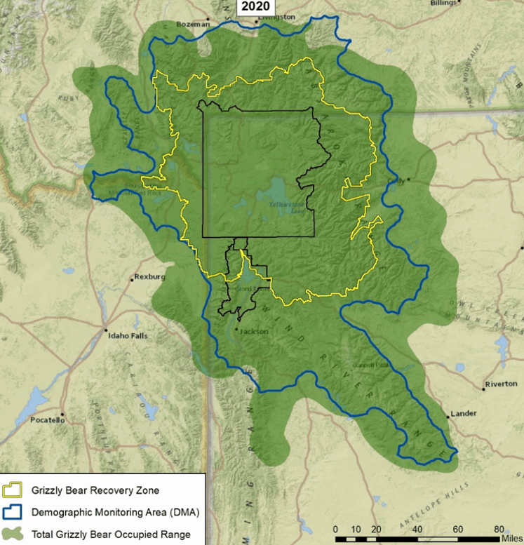 Map of grizzly bear range expansion in Greater Yellow Ecosystem 2020